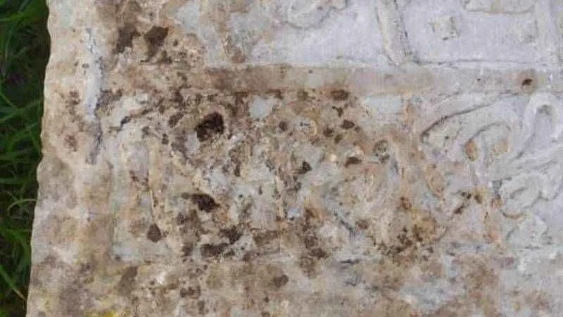 Deprem bölgesinde ilan verildi: Polis harekete geçti…